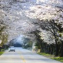 아름다움 이미지