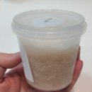 댕댕미식회 이미지