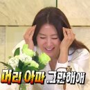 다이브스테이 이미지