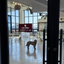 독앤트리 이미지