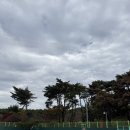 금정체육공원_실외테니스장 이미지