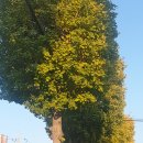 홍주축산 이미지