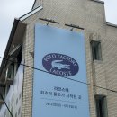 최초의 폴로 셔츠✨ 성수 라코스테 팝업 후기!