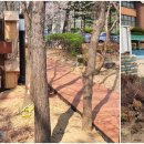 부천중앙초등학교 이미지