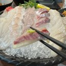 회바라기 이미지