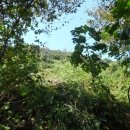 합성동102 이미지