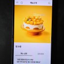 유니크플레이스 | 투썸 망고 케이크 망고생 어버이날 추천하는 이유 투썸플레이스 신상 내돈내산 후기