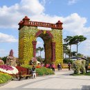 수백만 송이의 국화로 만든 놀이공원이라니&#34; 오감이 즐거운 이색 국화 축제 이미지