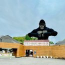 흔들목장 이미지