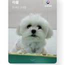 99 네이버블로그