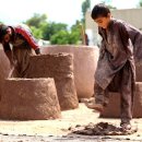 (주)코자니 이미지