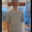 다시 움직임 PT&PILATES 네이버블로그