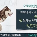 문팔라스 세일중이네요~~ 이미지