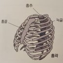 몸;새로태어나다