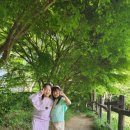 KTS 청운 태권도 이미지