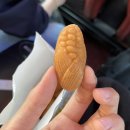 구례여행_곡전재, 정산서다실, 구례맛집 청와대, 천은사, 천은사 템플스테이, 쌍산재
