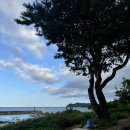 궁촌의 아침 민박 이미지