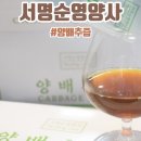 순영농장 | 서명순영양사 | 위건강엔 양배추즙효능