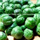 순용농장 이미지