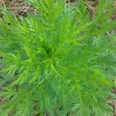 휴베이스원약국 이미지