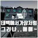 팰리스모텔 | 강원도 태백 '더 팰리스 호텔'