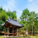 홍길동전시관 | 전남 장성 가볼만한곳 홍길동테마파크 산책하기 좋은 곳