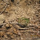 동훈농장 이미지