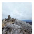 봄을 그리며 이미지