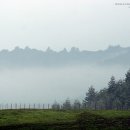 새벽목장 이미지