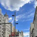 스시판다 이미지