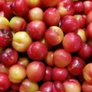 장터농장 이미지