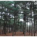 자락길 옹달샘 이미지