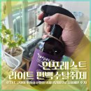 인포 | 인포레스트 라이트 편백수탈취제 후기 (고양이 집사 피톤치드스프레이 사용기)