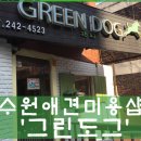 그린애견샵 이미지