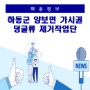 양보면사무소 이미지