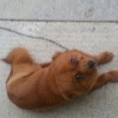 이리농장 이미지