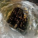 아둘떡볶이 | [광진구 중곡동] 떡볶이 맛집 <아둘떡볶이> - 아 둘이먹다 하나 죽어도 절대 몰러,,