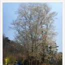 오룡산 등산로 입구 이미지