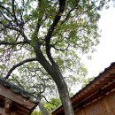 산천한옥