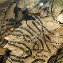 동물식물 생태 체험교실 이미지