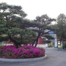 송림숲화장실 이미지