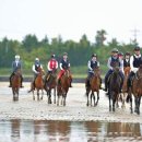 세종대학교 행정대학원 이미지
