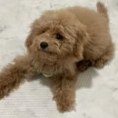 개운한날 이미지