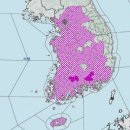 모르나 이미지