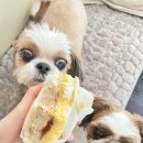 교동식탐 이미지