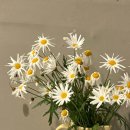 파닭회관 이미지