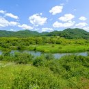 대황강 출렁다리 이미지