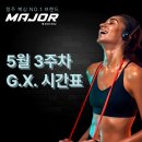 골든보이 복싱 GYM 이미지