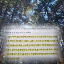 달러짐 | 달러 역설 책 | 오태민 책 후기 | 가장 완벽해 보이는 통제가 가장 위험한 이유 추천 리뷰 핵심 요약