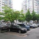 종합운동장길 이미지